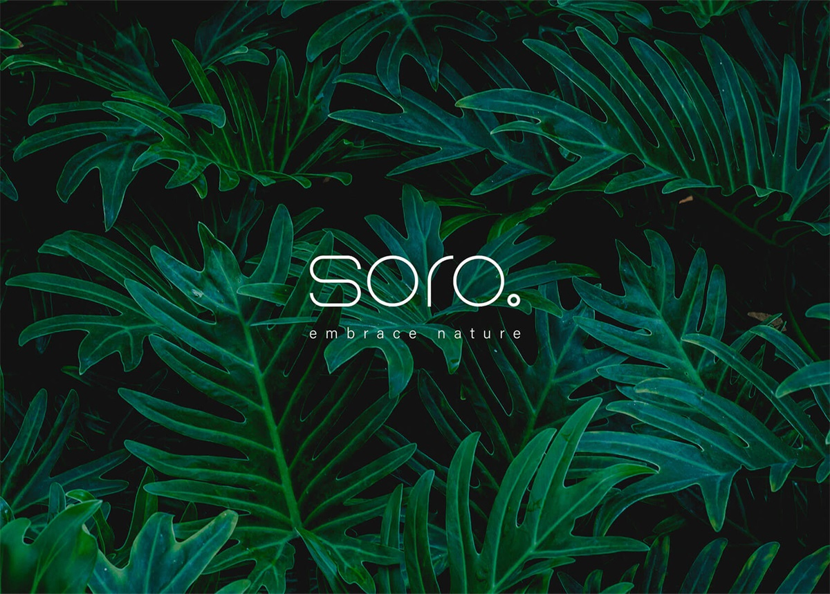 Soro